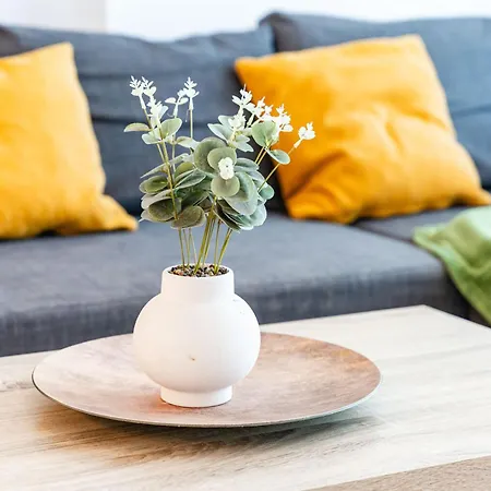 Modern Apollus Avenue - By Openhouse *