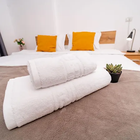 Modern Apollus Avenue - By Openhouse Timişoara