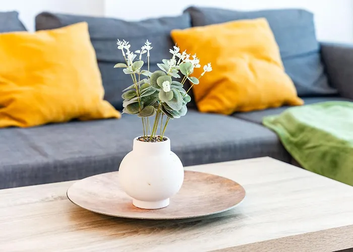 Modern Apollus Avenue - By Openhouse *