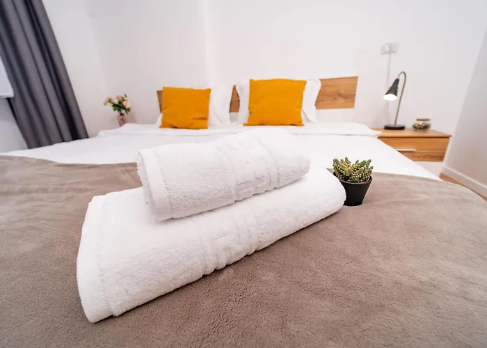 Modern Apollus Avenue - By Openhouse Timişoara